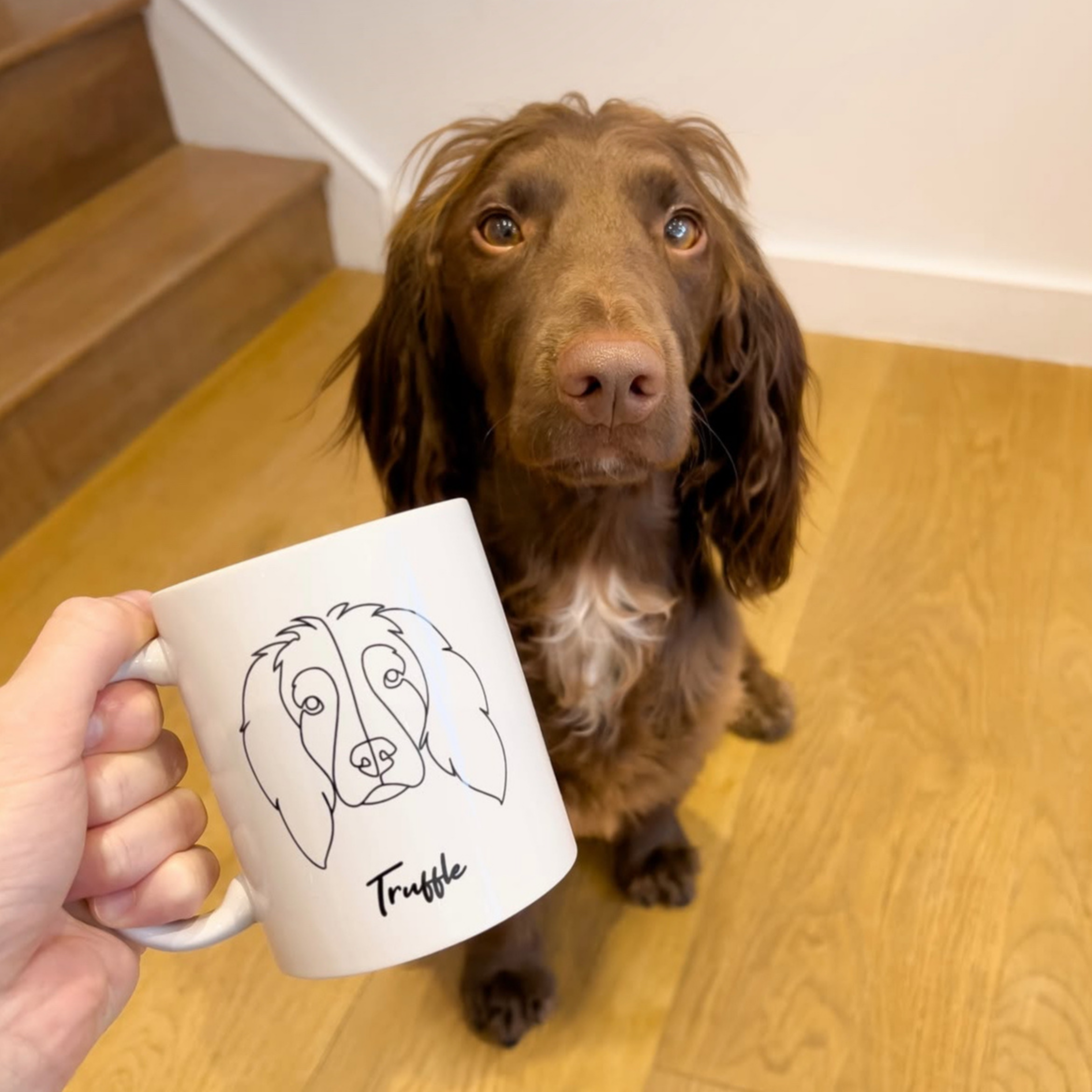 Dog Humanity Gift Card